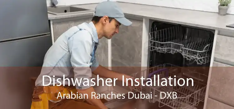 Dishwasher Installation Arabian Ranches Dubai - DXB