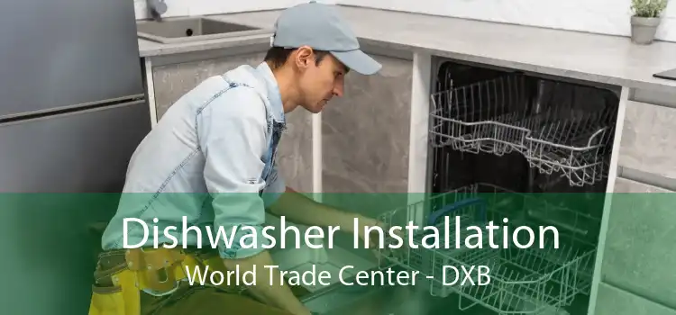 Dishwasher Installation World Trade Center - DXB