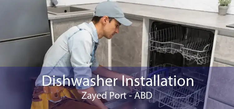 Dishwasher Installation Zayed Port - ABD