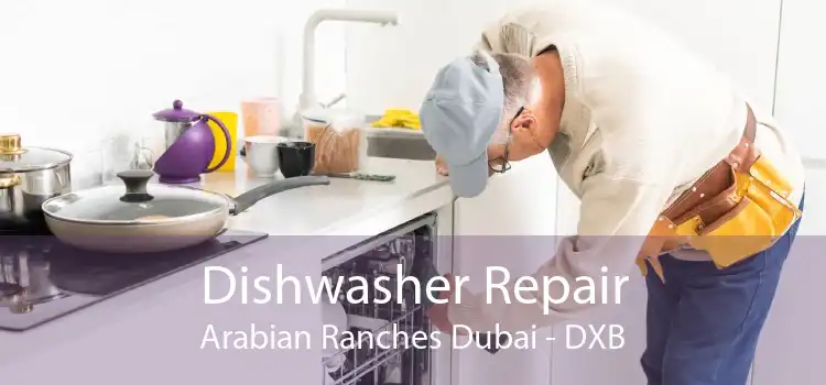 Dishwasher Repair Arabian Ranches Dubai - DXB