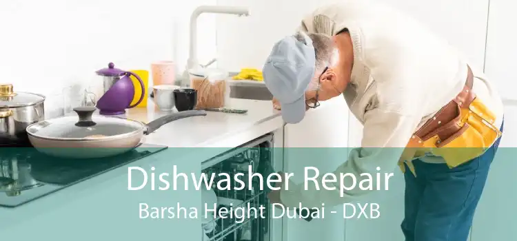 Dishwasher Repair Barsha Height Dubai - DXB