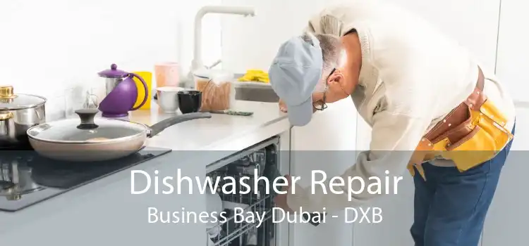 Dishwasher Repair Business Bay Dubai - DXB