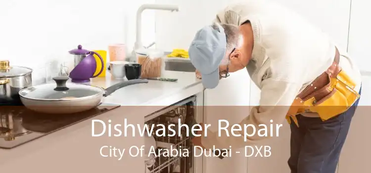 Dishwasher Repair City Of Arabia Dubai - DXB