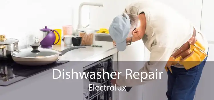 Dishwasher Repair Electrolux