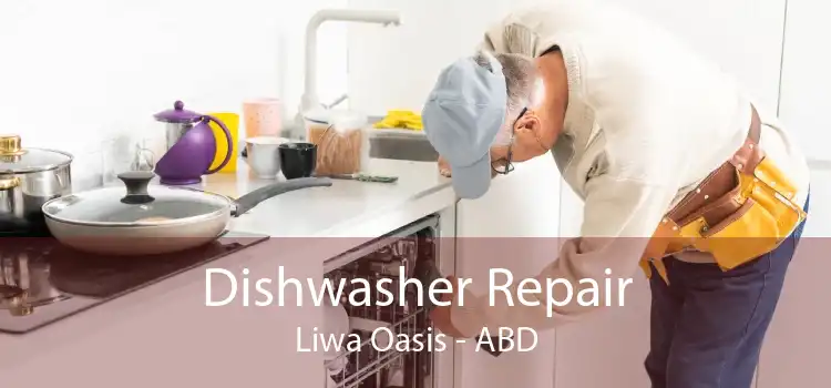 Dishwasher Repair Liwa Oasis - ABD