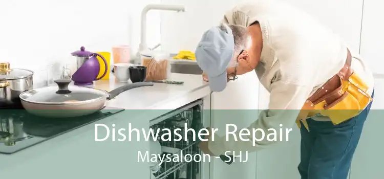 Dishwasher Repair Maysaloon - SHJ