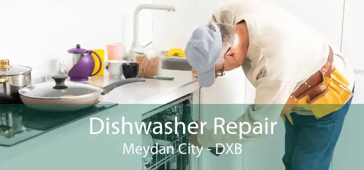 Dishwasher Repair Meydan City - DXB