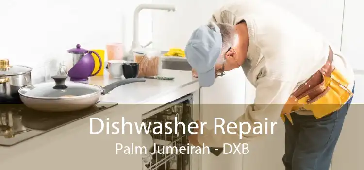 Dishwasher Repair Palm Jumeirah - DXB