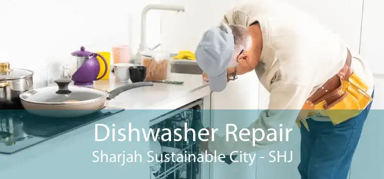 Dishwasher Repair Sharjah Sustainable City - SHJ