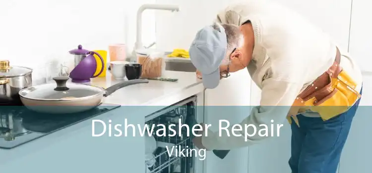 Dishwasher Repair Viking