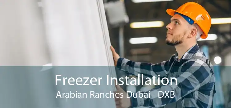 Freezer Installation Arabian Ranches Dubai - DXB