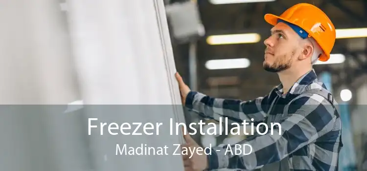 Freezer Installation Madinat Zayed - ABD