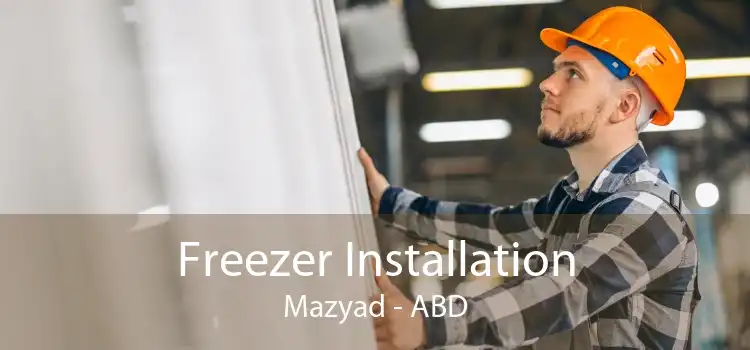 Freezer Installation Mazyad - ABD