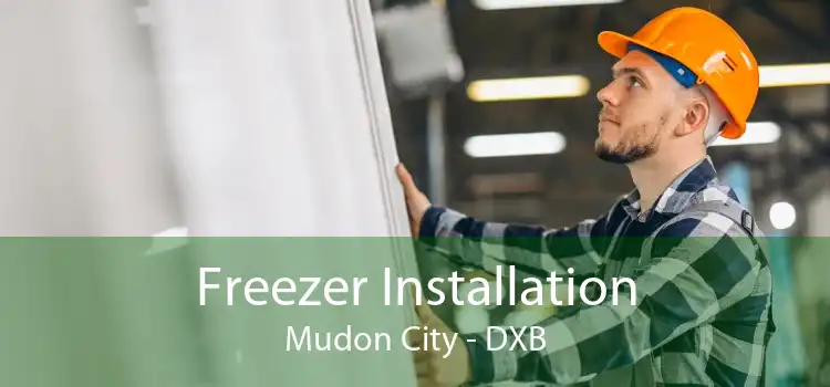 Freezer Installation Mudon City - DXB