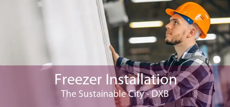 Freezer Installation The Sustainable City - DXB