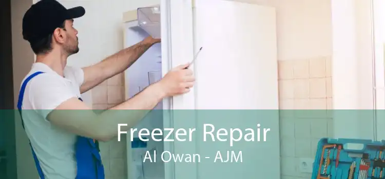 Freezer Repair Al Owan - AJM