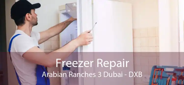 Freezer Repair Arabian Ranches 3 Dubai - DXB