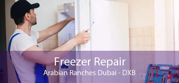 Freezer Repair Arabian Ranches Dubai - DXB