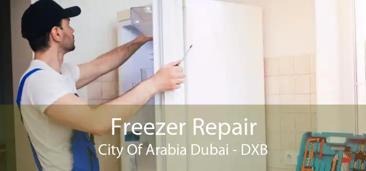 Freezer Repair City Of Arabia Dubai - DXB