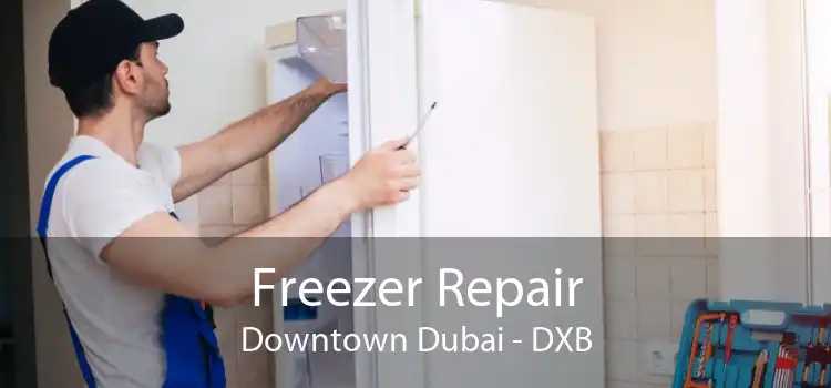 Freezer Repair Downtown Dubai - DXB