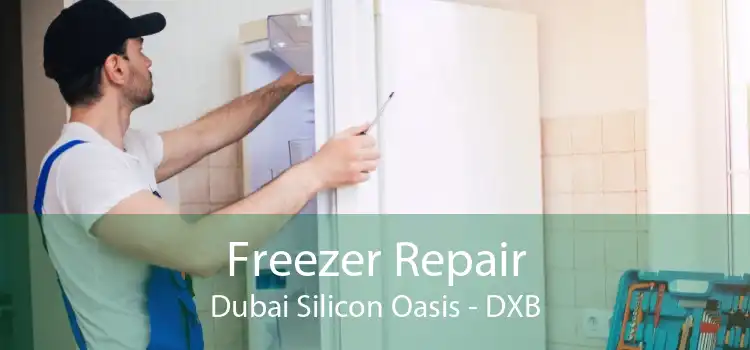 Freezer Repair Dubai Silicon Oasis - DXB