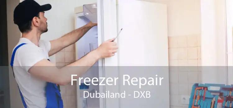 Freezer Repair Dubailand - DXB