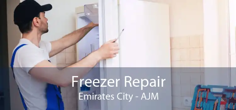 Freezer Repair Emirates City - AJM