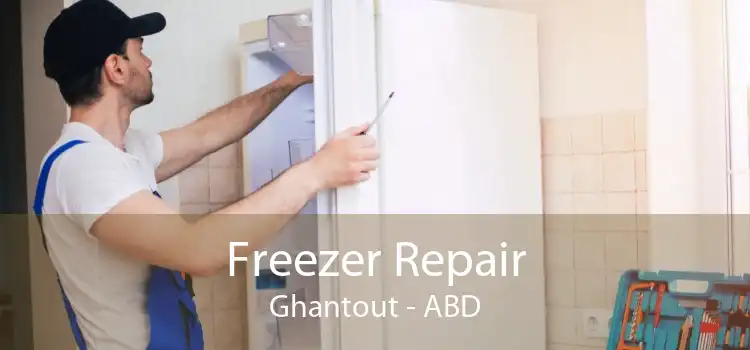 Freezer Repair Ghantout - ABD