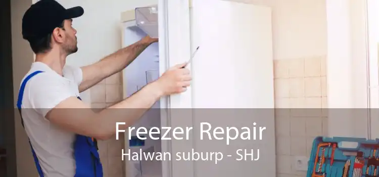 Freezer Repair Halwan suburp - SHJ