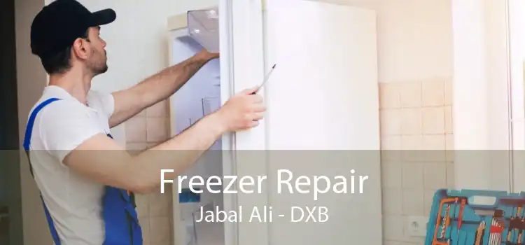 Freezer Repair Jabal Ali - DXB