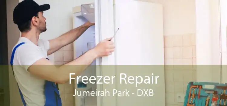 Freezer Repair Jumeirah Park - DXB