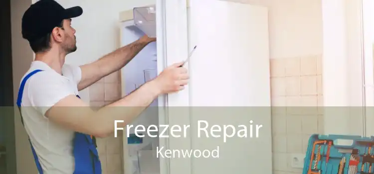 Freezer Repair Kenwood