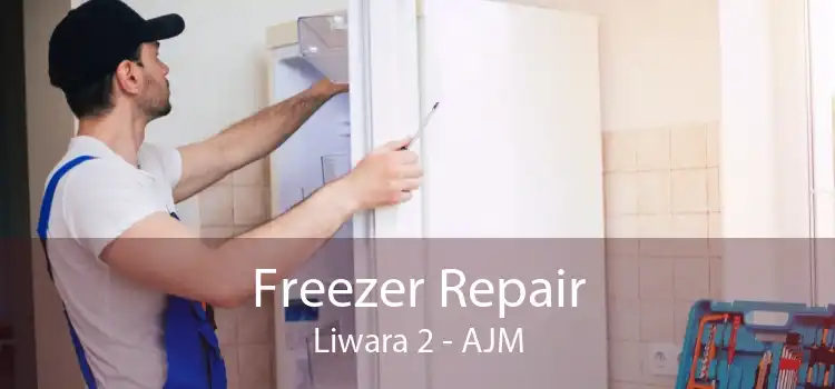 Freezer Repair Liwara 2 - AJM