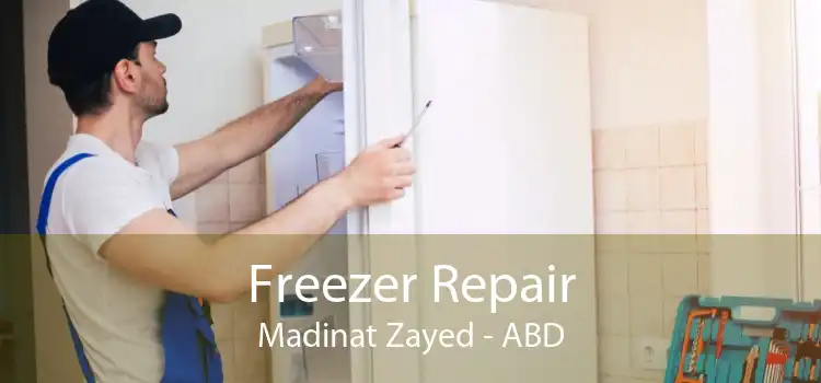 Freezer Repair Madinat Zayed - ABD