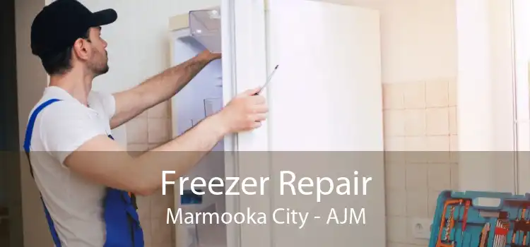 Freezer Repair Marmooka City - AJM