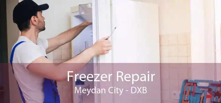 Freezer Repair Meydan City - DXB