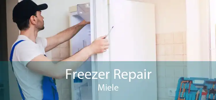 Freezer Repair Miele