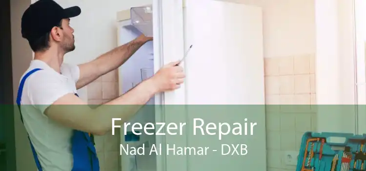 Freezer Repair Nad Al Hamar - DXB