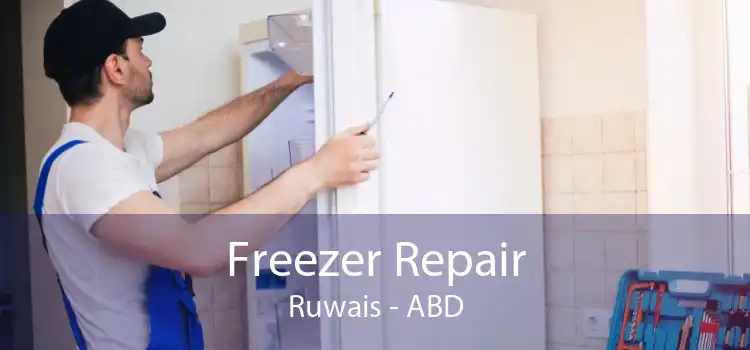 Freezer Repair Ruwais - ABD