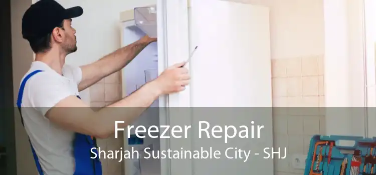 Freezer Repair Sharjah Sustainable City - SHJ