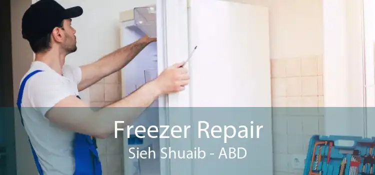 Freezer Repair Sieh Shuaib - ABD