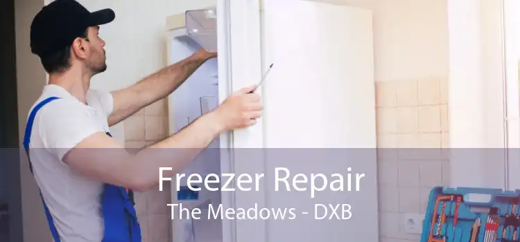 Freezer Repair The Meadows - DXB