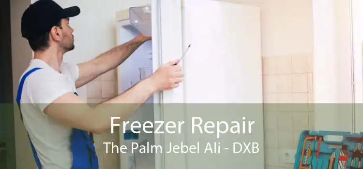 Freezer Repair The Palm Jebel Ali - DXB