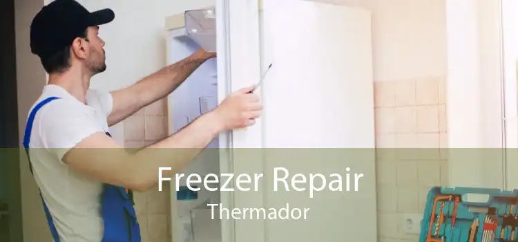 Freezer Repair Thermador