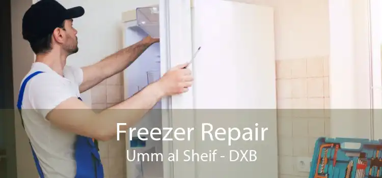 Freezer Repair Umm al Sheif - DXB