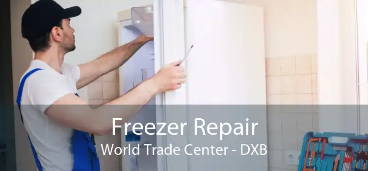 Freezer Repair World Trade Center - DXB