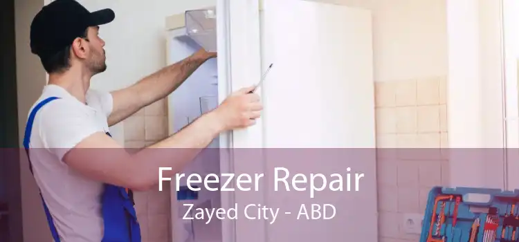 Freezer Repair Zayed City - ABD