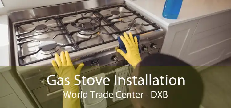 Gas Stove Installation World Trade Center - DXB