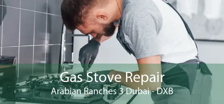 Gas Stove Repair Arabian Ranches 3 Dubai - DXB