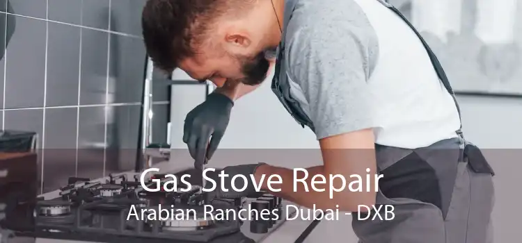 Gas Stove Repair Arabian Ranches Dubai - DXB